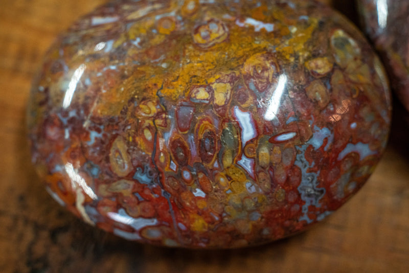 Plum Root Agate Palm Stone